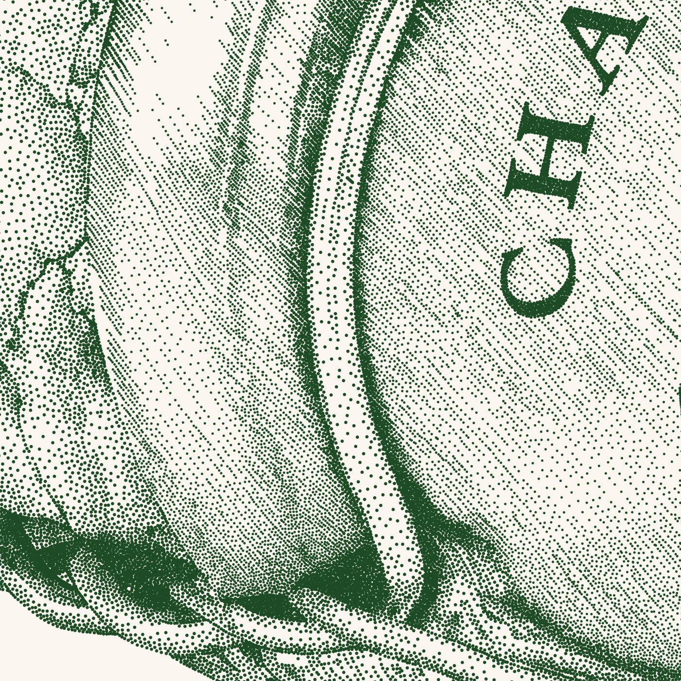 Champagneprop - Green - Julie Flansmose