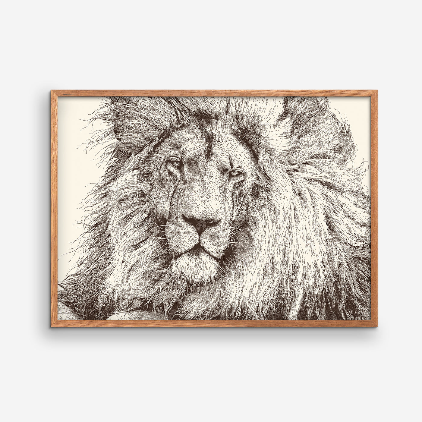 Lion- Julie Flansmose