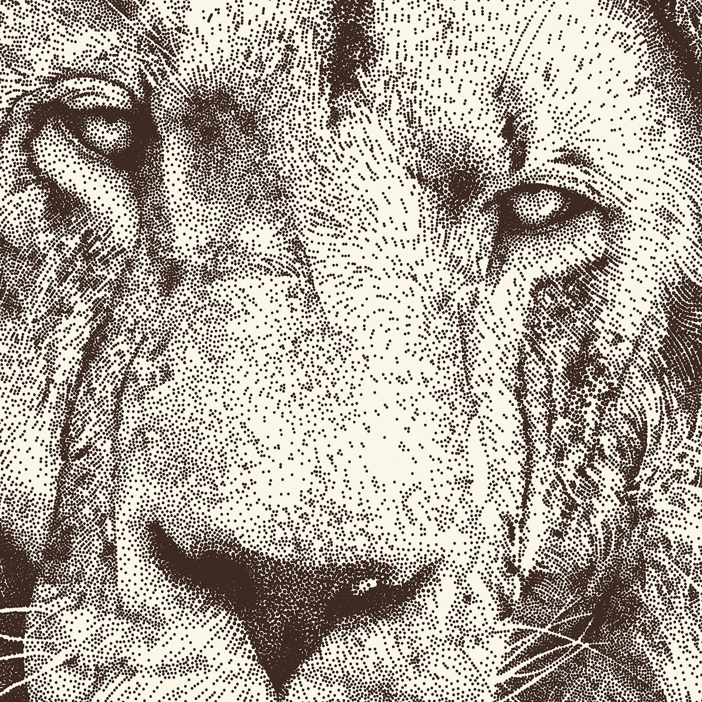 Lion- Julie Flansmose