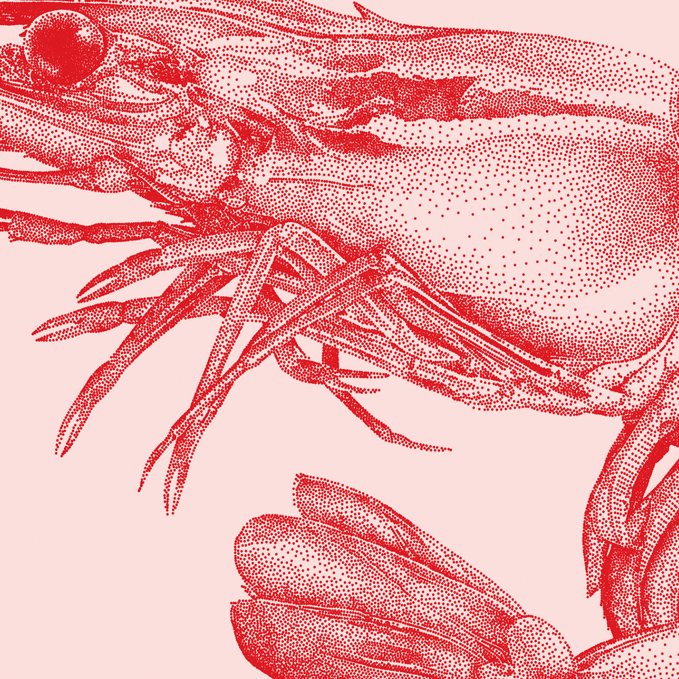 Reje - Red - Julie Flansmose