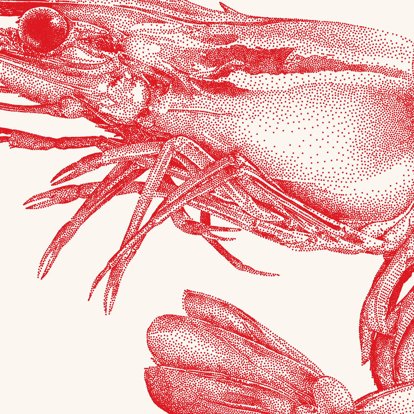 Reje - Sand - Julie Flansmose