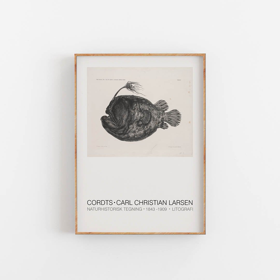 Cordts, Carl Christian Larsen, art print, Kunsttryk, Konsttryck, kunsttrykk, kunstdruck, poster,  affiche, affisch