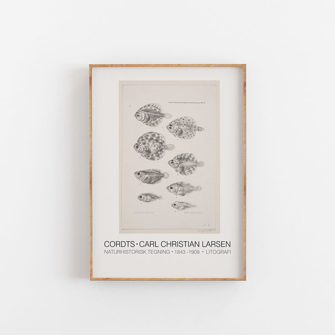 Cordts, Carl Christian Larsen, art print, Kunsttryk, Konsttryck, kunsttrykk, kunstdruck, poster,  affiche, affisch