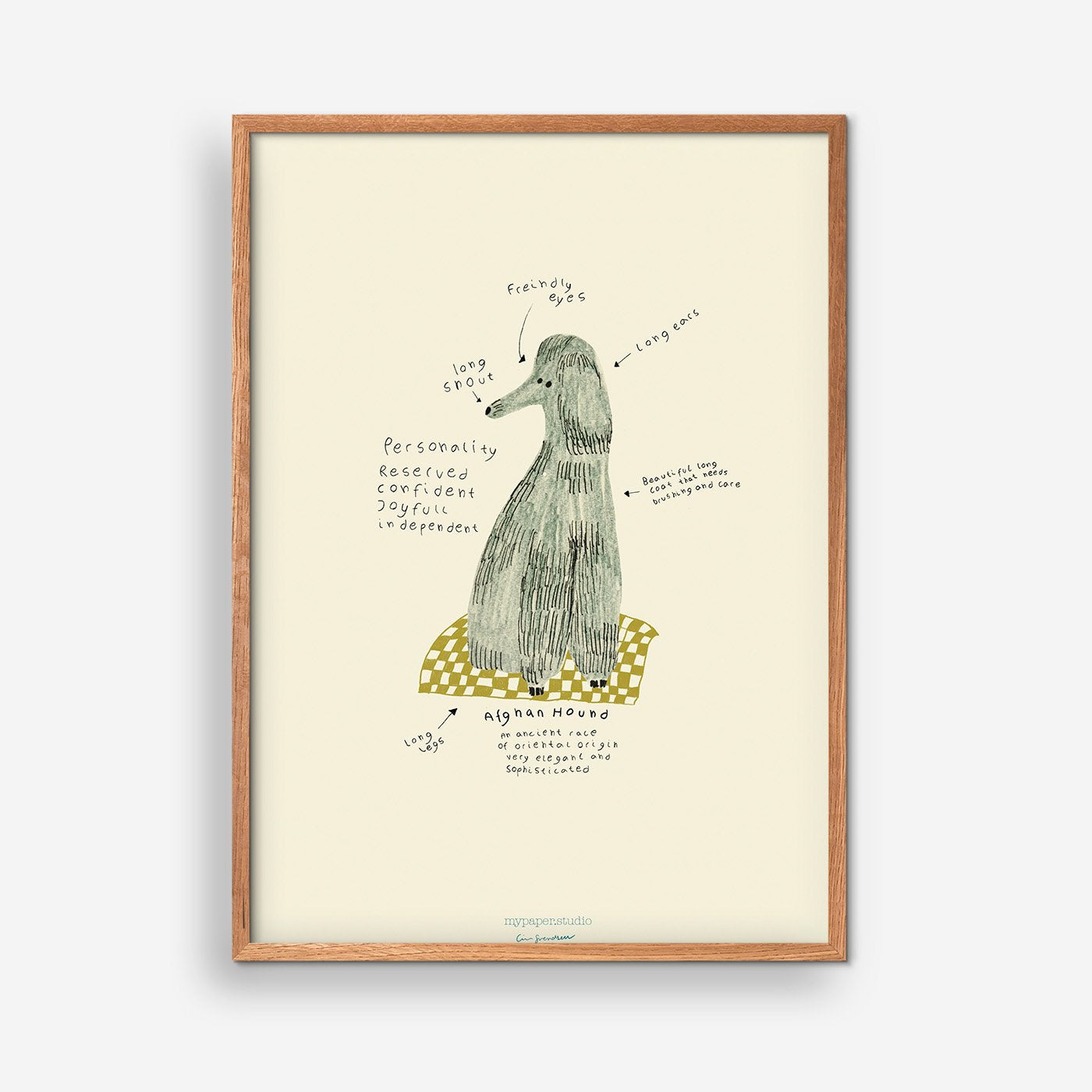 Afghan Hound - Line Risager Svendsen