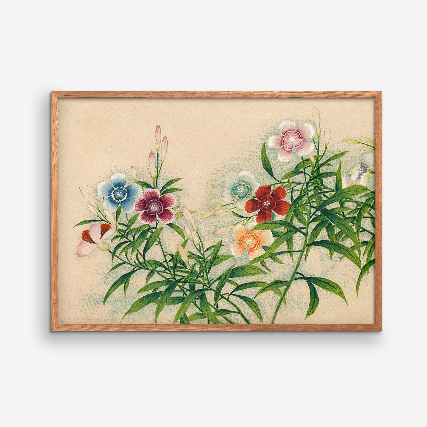 Pinks – Zhang Ruoai