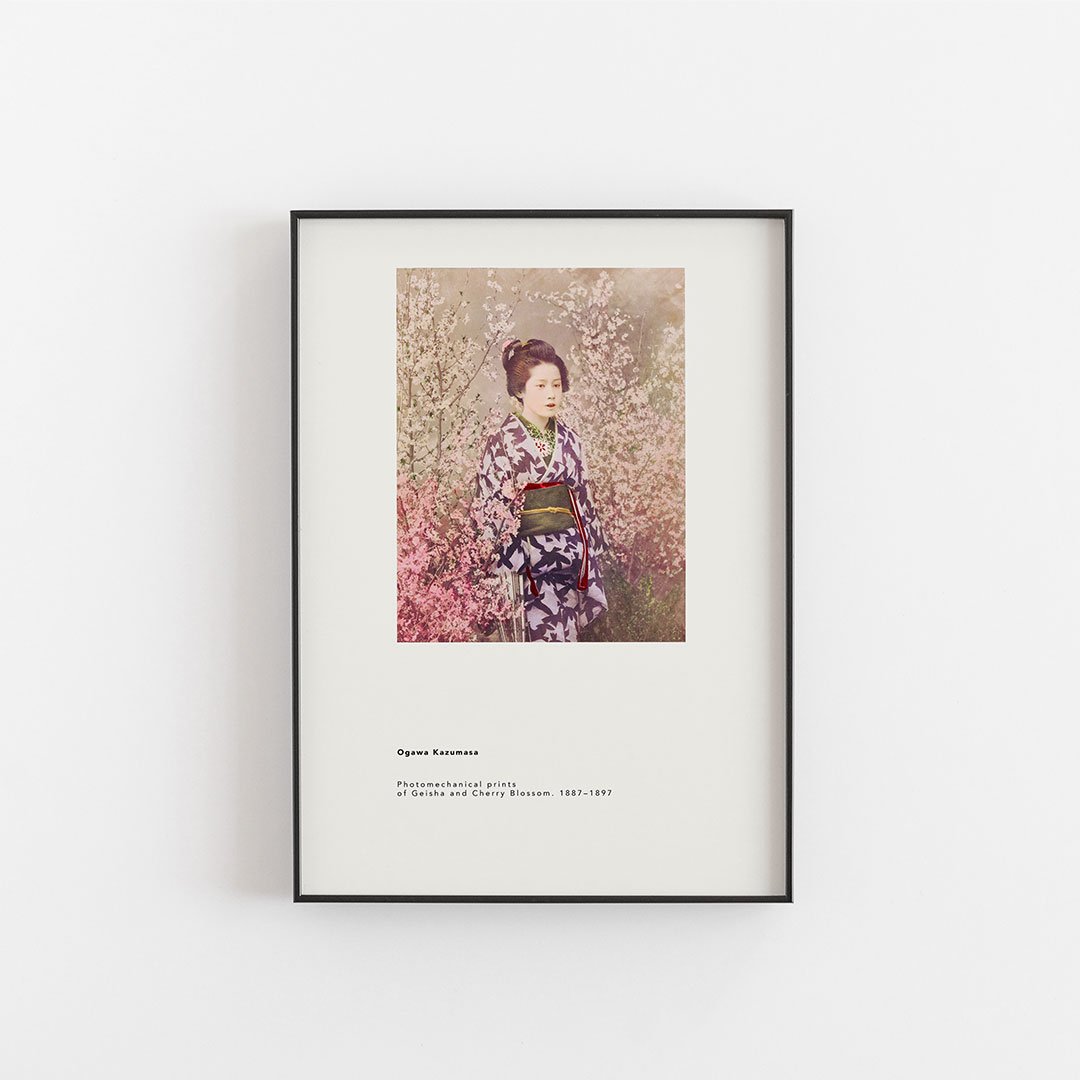 Ogawa Kazusama - Geisha and Cherry Blossom
