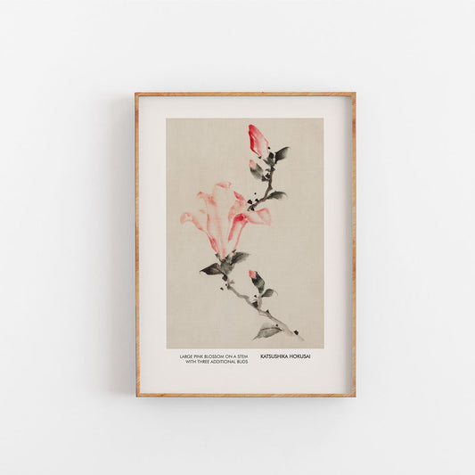Große rosa Blüte - Katushika Hokusai