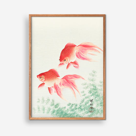 Zwei Schleiergoldfische - Ohara Koson