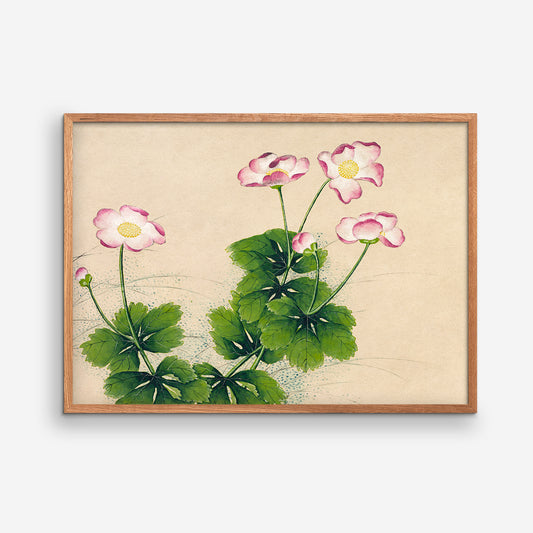 Malvenblüten - Zhang Ruoai