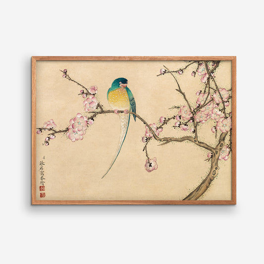 Fågel med plommonblommor - Zhang Ruoai
