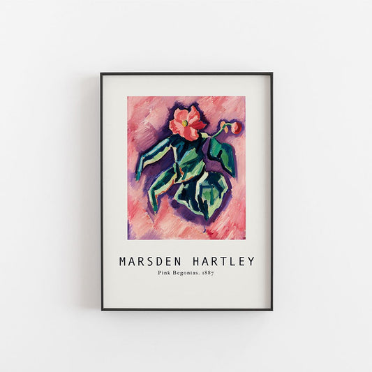 Marsden Hartley - Rosa Begonia