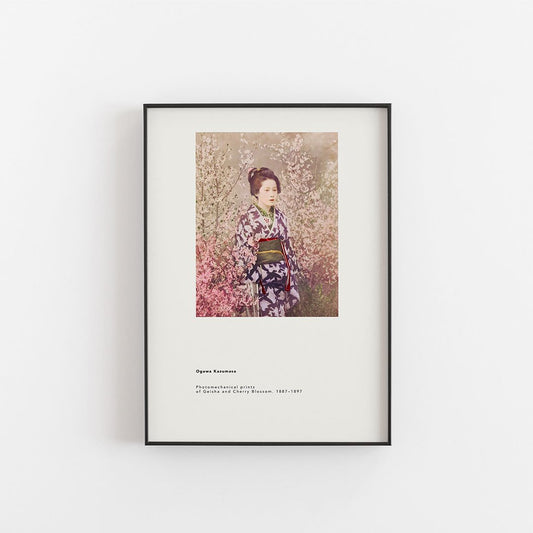 Ogawa Kazusama - Geisha och körsbärsblom